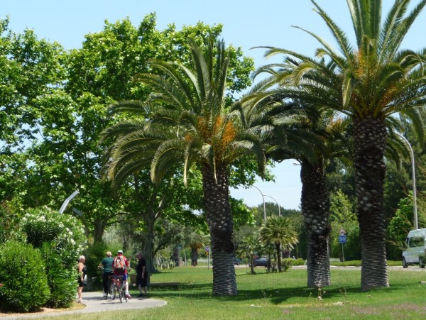 Terra Botanica - Angers