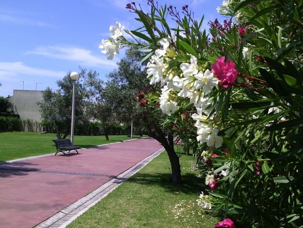 Le Paradis Latin