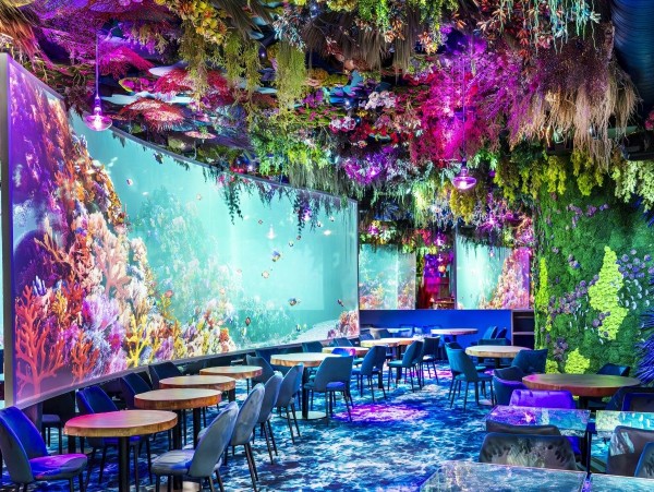 De la mer à la lumière